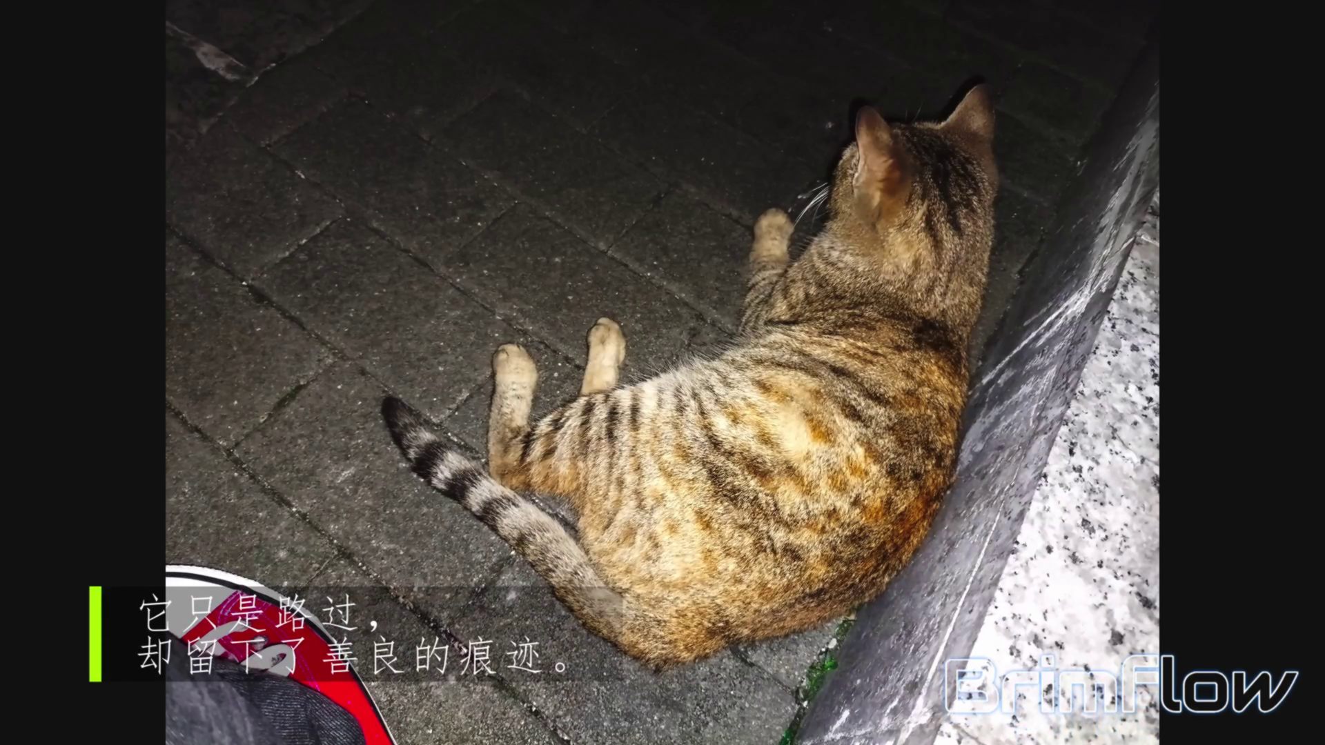 暖狸日记：感谢你来过！